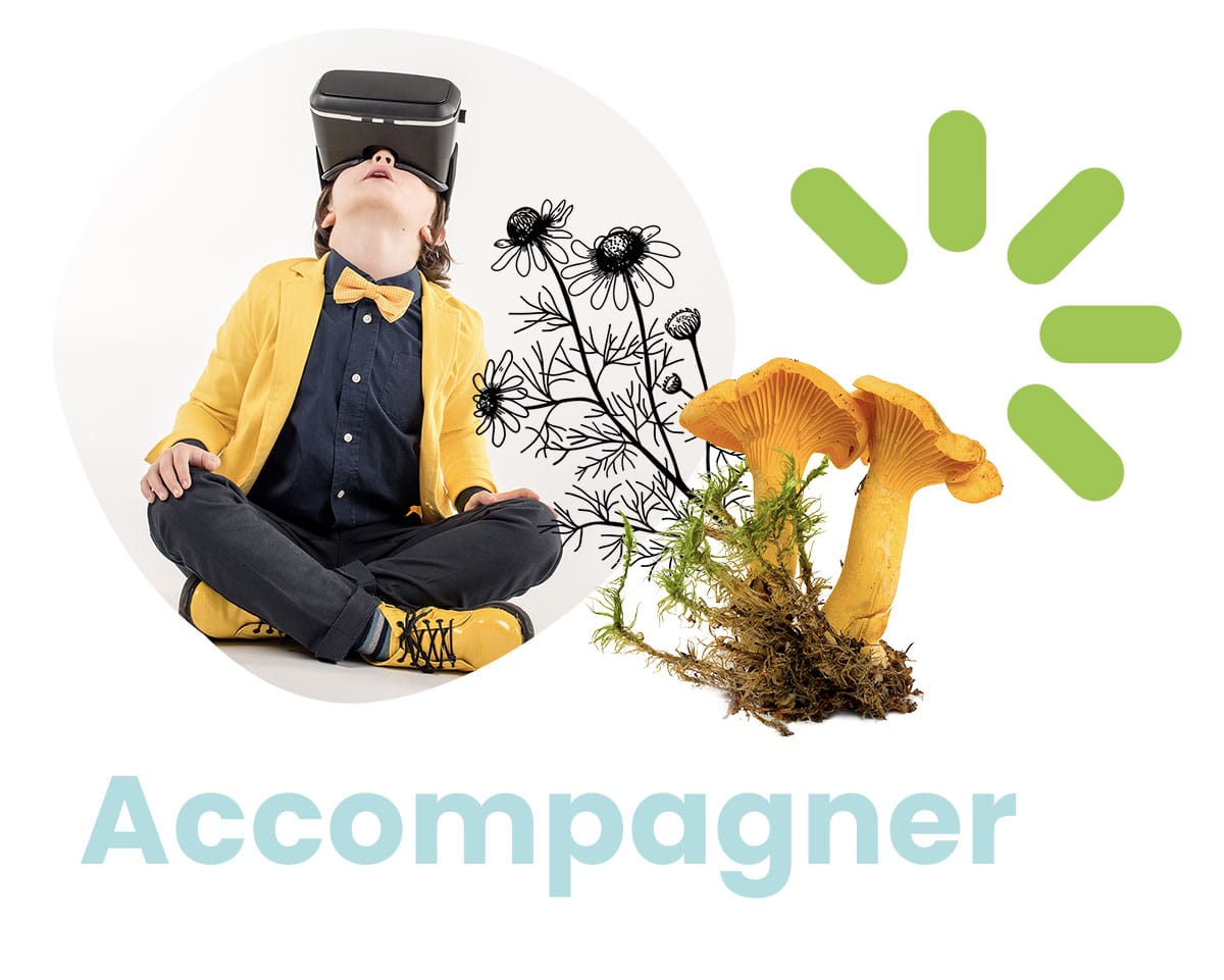 header-services-accompagner-1200